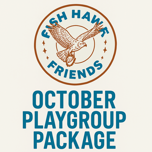 October Playgroup Package | 13th, 20th, 27th