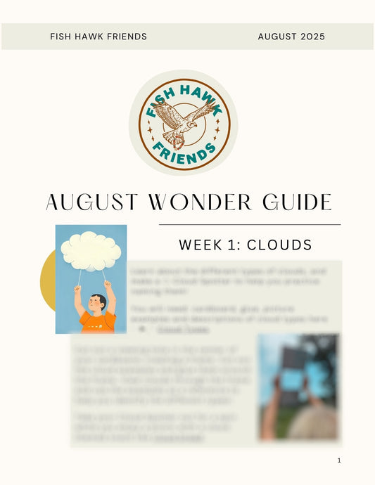 ⟡˙⋆ WONDER GUIDE ⋆˙⟡ | AUGUST